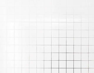 Miriam Jonas, Fokus, 2014