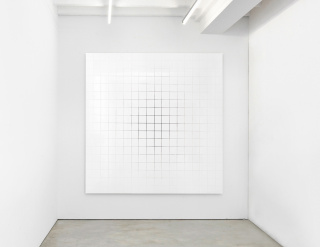 Miriam Jonas, Fokus, 2014